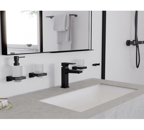 Двойной крючок Hansgrohe AddStoris 41755340 Шлифованный черный хром