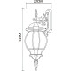 Настенный светильник Artelamp Atlanta A1042AL-1BG Прозрачный Старая медь