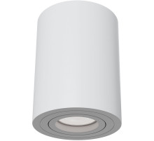 Потолочный светильник Maytoni Ceiling Wall Atom C016CL-01W Белый