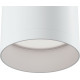 Потолочный светильник Maytoni Ceiling Wall Focus C010CL-01W Белый