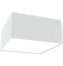 Потолочный светильник Maytoni Ceiling Wall Zon C067CL-L12W3K Белый