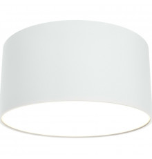 Потолочный светильник Maytoni Ceiling Wall Zon C032CL-L12W3K Белый