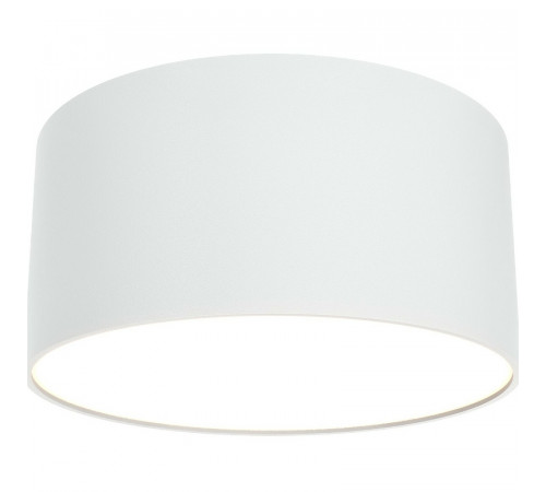 Потолочный светильник Maytoni Ceiling Wall Zon C032CL-L12W3K Белый