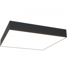 Потолочный светильник Maytoni Ceiling Wall Zon C067CL-L48B4K Черный