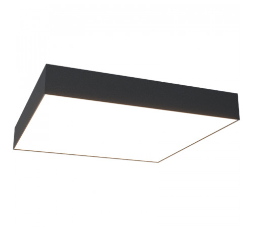 Потолочный светильник Maytoni Ceiling Wall Zon C067CL-L48B4K Черный