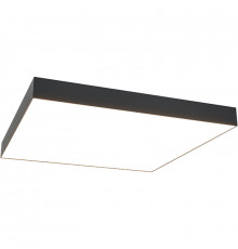 Потолочный светильник Maytoni Ceiling Wall Zon C067CL-L96B3K Черный