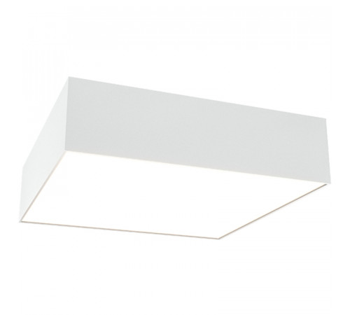 Потолочный светильник Maytoni Ceiling Wall Zon C067CL-L27W4K Белый