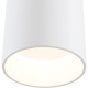 Потолочный светильник Maytoni Ceiling Wall Dafne Led C027CL-L10W Белый