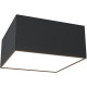 Потолочный светильник Maytoni Ceiling Wall Zon C067CL-L12B4K Черный