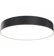 Потолочный светильник Maytoni Ceiling Wall Zon C032CL-L48B3K Черный