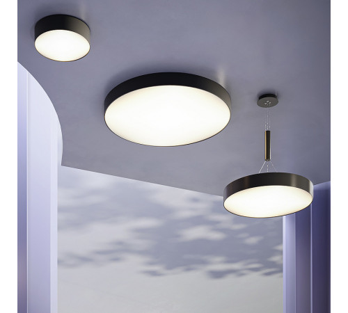 Потолочный светильник Maytoni Ceiling Wall Zon C032CL-L48B4K Черный