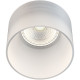 Встраиваемый светильник Maytoni Downlight Pauline DL047-01W Белый