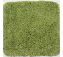 Коврик для ванной комнаты WasserKRAFT Kammel 55х57 BM-8336 Greenery