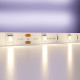 Светодиодная лента Maytoni Led Strip 10162 24В