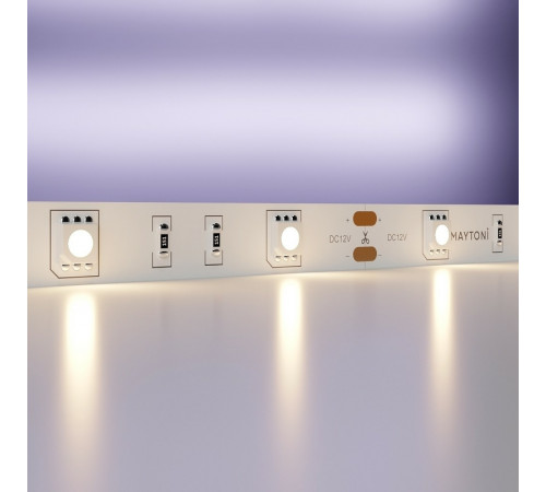 Светодиодная лента Maytoni Led Strip 10121 12В