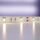 Светодиодная лента Maytoni Led Strip 10121 12В