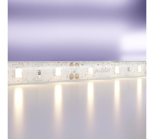 Светодиодная лента Maytoni Led Strip 10111 12В