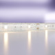 Светодиодная лента Maytoni Led Strip 10124 12В