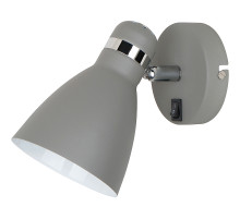Настенный светильник Artelamp Mercoled A5049AP-1GY Серый