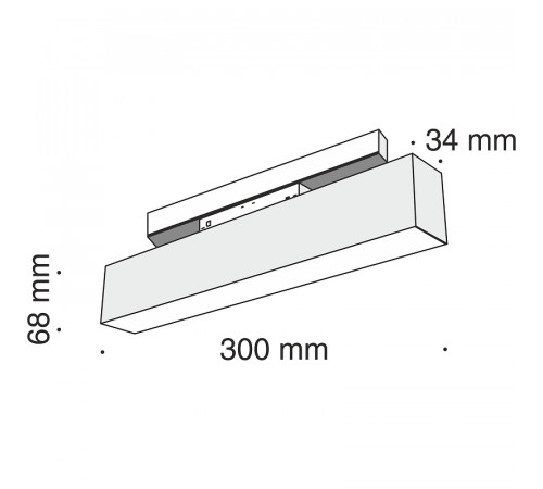 Трековый светильник Maytoni Magnetic track system Basis TR012-2-12W3K-B Черный