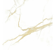 Керамогранит Pardis Ceramic Pazh Helion P16604 60х60 см