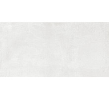 Керамогранит Azario Domino White Matt F5060622120M 60х120 см