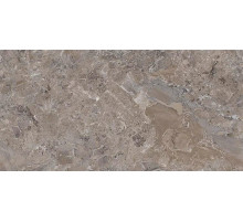 Керамогранит Art Ceramic Danir Mud 60х120 см