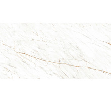 Керамогранит Ocean ceramic Nero White OC0000054 60х120 см