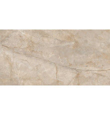 Керамогранит Ocean ceramic Monterial Taupe OC0000131 80х160 см