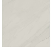 Керамогранит Atlas Concorde Russia Allure Gioia Lap 610015000567 60х60 см