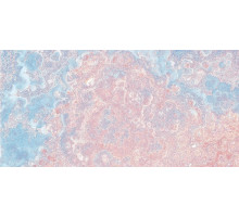 Керамическая плитка El Molino America Celeste AMCEL3090 настенная 30х90 см