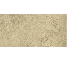 Керамическая плитка Eurotile (Rus) Anika Olive темная настенная 30х60 см