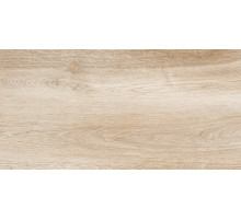 Керамическая плитка NewTrend Artwood WT36AOD08 настенная 30х60 см