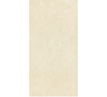 Керамогранит Enping Jingye Basaltina матовый Rect FBA60121D 60x120 см