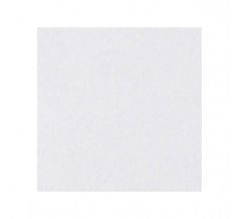 Керамогранит Top Cer Базовая плитка L4416-1Ch White - Loose 10х10 см