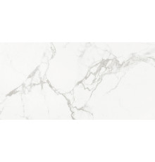 Керамогранит Absolut Gres Carrara Classic AB 1112G 60x120 см