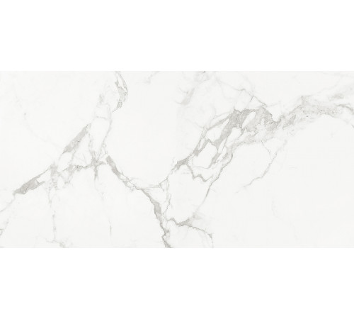 Керамогранит Absolut Gres Carrara Classic AB 1112G 60x120 см