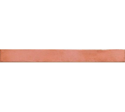 Керамогранит Rondine Colors Salmon J92080 4,8х45 см