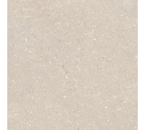 Керамическая плитка Porcelanosa Coral Caliza 100330258 настенная 45x120 см