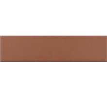 Керамическая плитка Equipe Costa Nova Terra Matt 28465 настенная 5х20 см