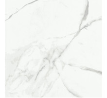 Керамогранит Primavera Dalim white NR104 60х60 см