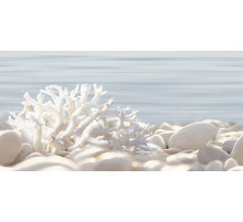 Керамический декор Alma Ceramica Del Mare DWU09DLM624 24,9х50 см