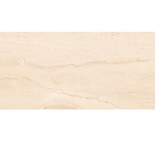 Керамогранит Absolut Gres Diana Silver AB 1017G 60x120 см Керамогранит Absolut Gres Diana Silver AB 1017G 60x120 см