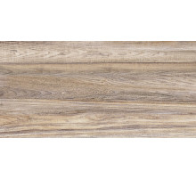 Керамическая плитка Alma Ceramica Dublin TWU09DBL404 настенная 24,9х50 см
