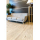 Виниловый ламинат Alpine Floor Easy Line ECO3-4 Дуб Ваниль 1219х184х3 мм