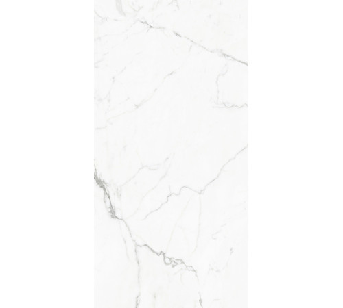 Керамогранит GlobalTile Elegant Statuario GT Белый полированный GT120604803PR 60х120 см