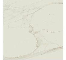 Керамогранит Atlas Concorde Russia Empire Arabescato Rett 610010002190 60х60 см