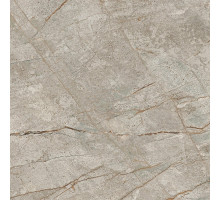 Керамогранит Atlas Concorde Russia Empire Silver Root Rett 610010002194 60х60 см