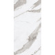 Керамогранит Ariana Epoque White Statuario Lap PF60004974 60x120 см