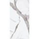 Керамогранит Ariana Epoque White Statuario Ret PF60004770 60x120 см